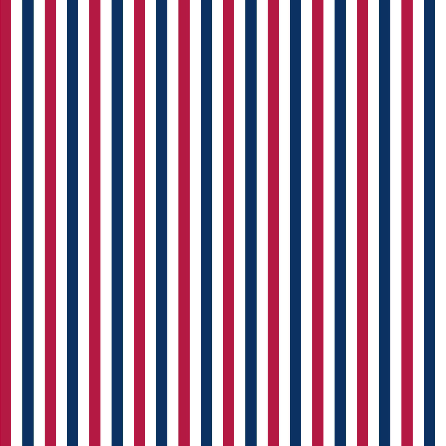 USA Flag Stripes